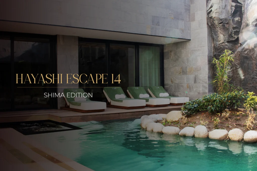 Hayashi escape 14 package